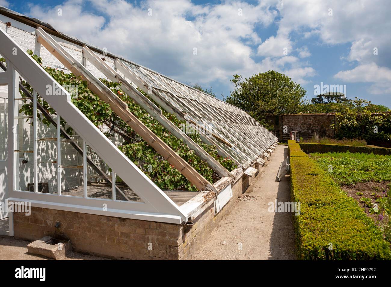 The Peach House, a Victorian glasshouse, undergoing restoration: the Lost Gardens of Heligan, Cornwall, UK Stock Photo