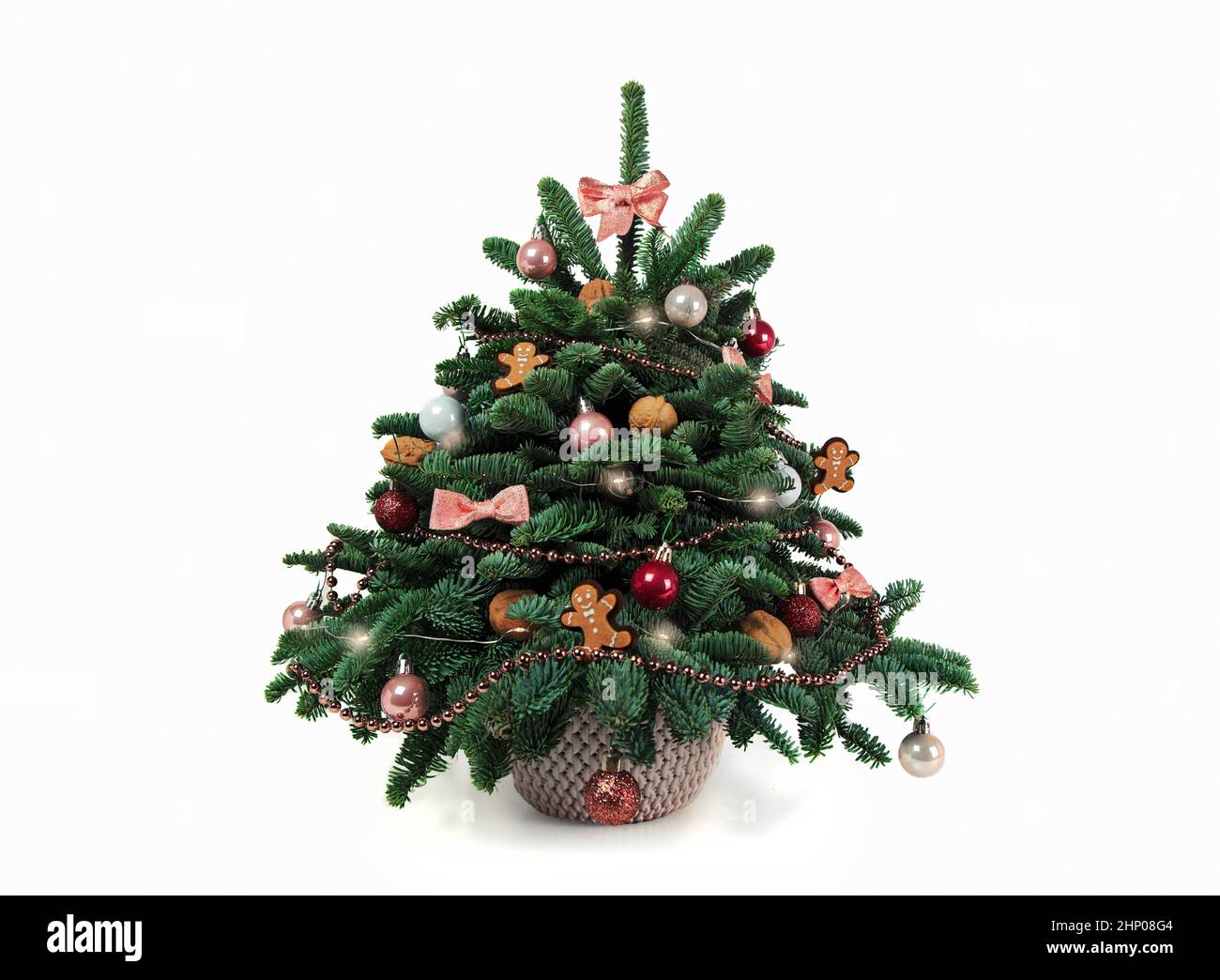 Beautiful small decorated Christmas tree on a white wooden table. Good mood. Danish pine and fir, Nobilis Stock Photo