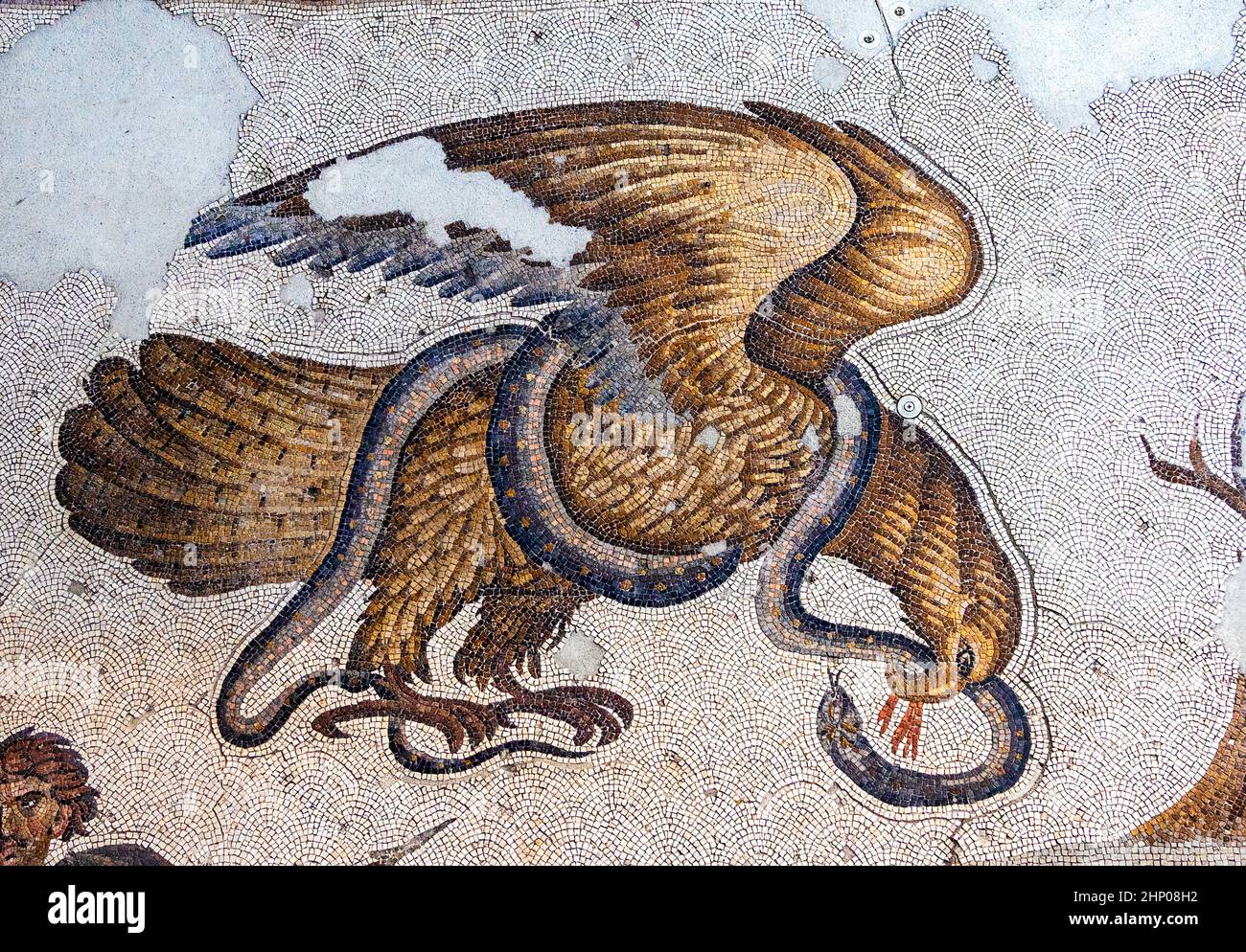 Ancient Eagle and Serpent Mosaic from the Byzantine period (East Roman period) at the Great Palace of Constantinople. 4th-6th century. Stock Photo