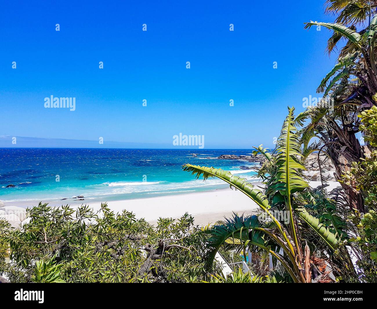 Camps Bay Beach behind palm trees in Cape Town Stock Photo Alamy