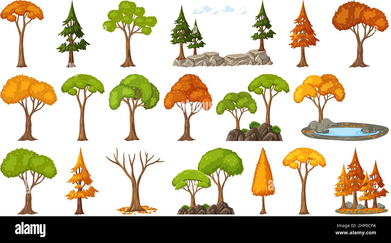 Set of four seasons trees on white background illustration Stock Vector ...