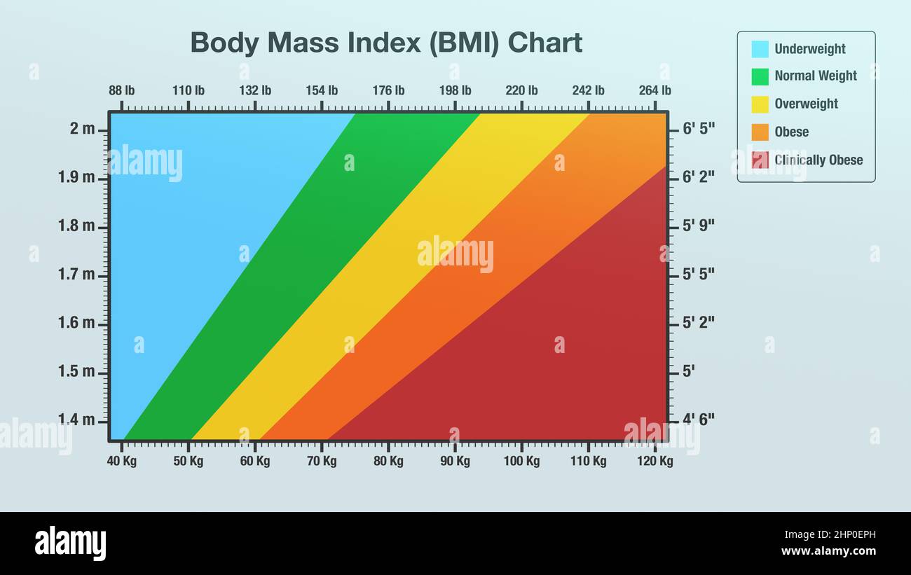 Body mass index chart hires stock photography and images Alamy