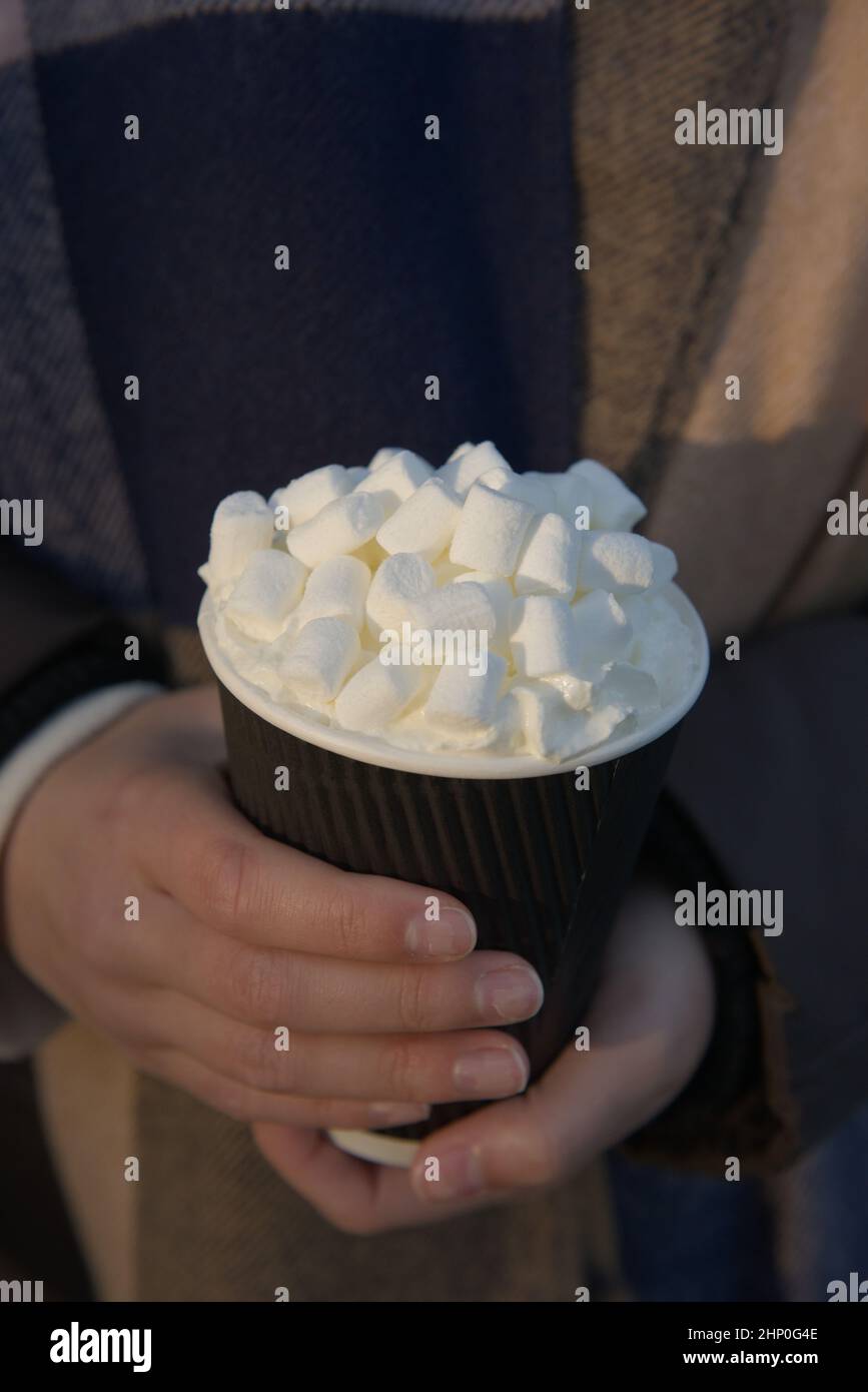 Set With Hot Drinks In Paper Cups To Take Away Coffee Tea Bags And Cocoa  With Marshmallow Stock Illustration - Download Image Now - iStock