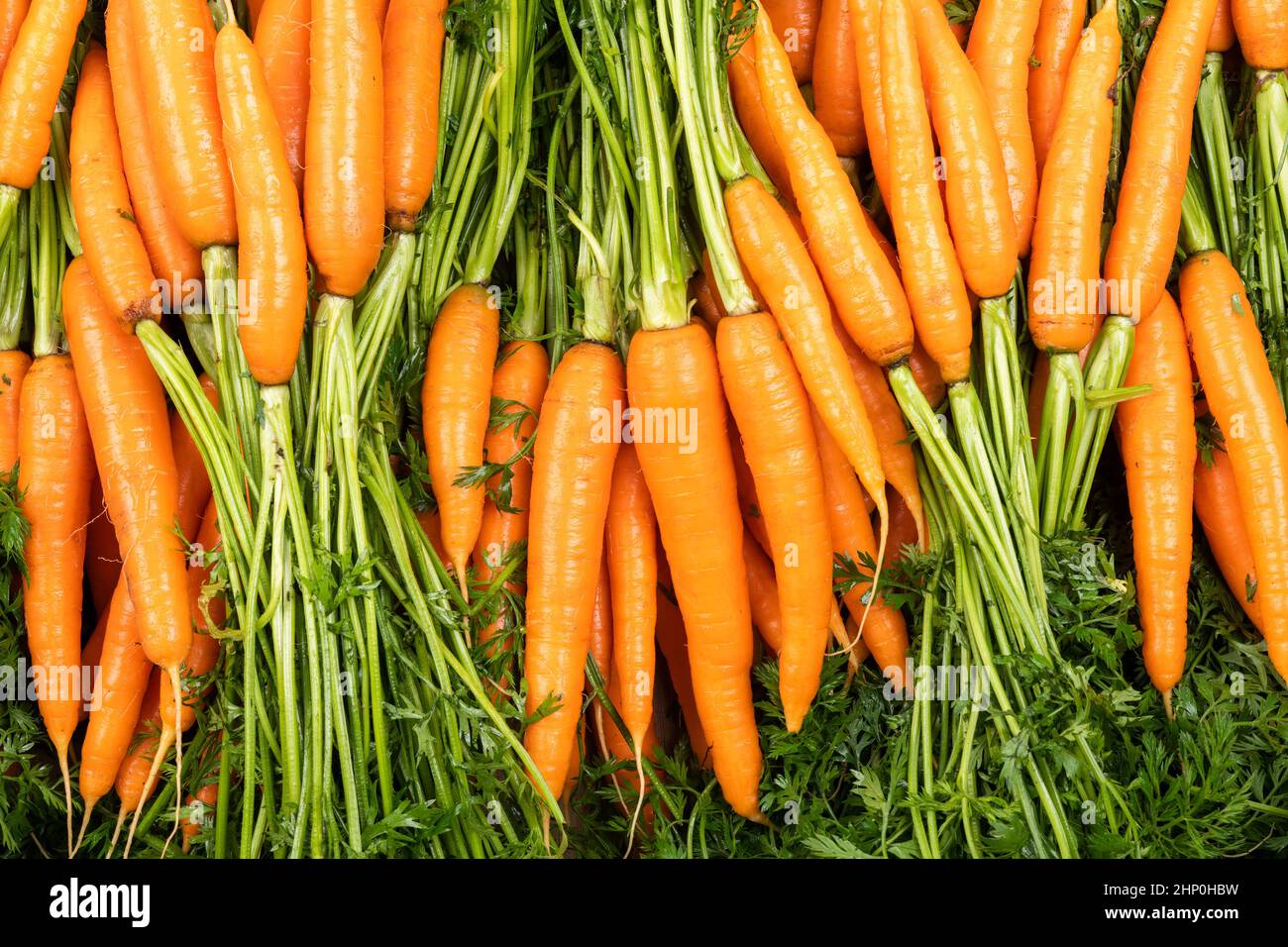 Red carrot on wooden as quantity. Top view carrot concept Stock Photo