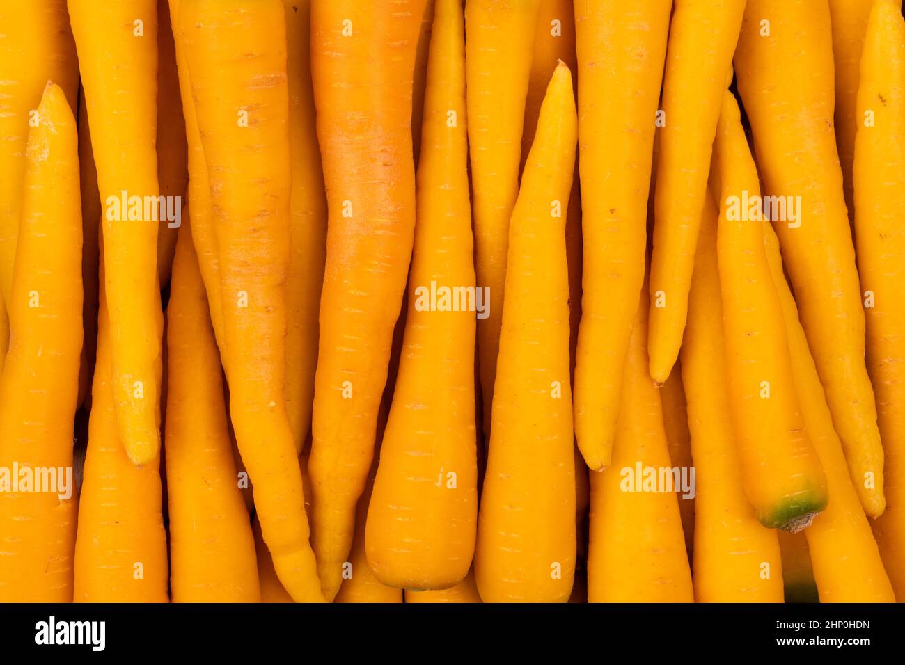 Red carrot on wooden as quantity. Top view carrot concept Stock Photo