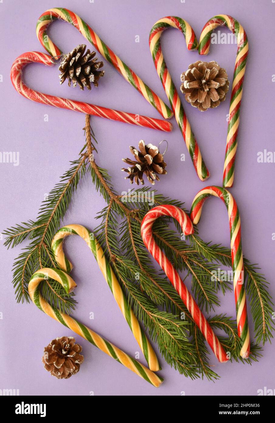 Christmas caramel or Christmas caramel canes, a branch of an ordinary ...