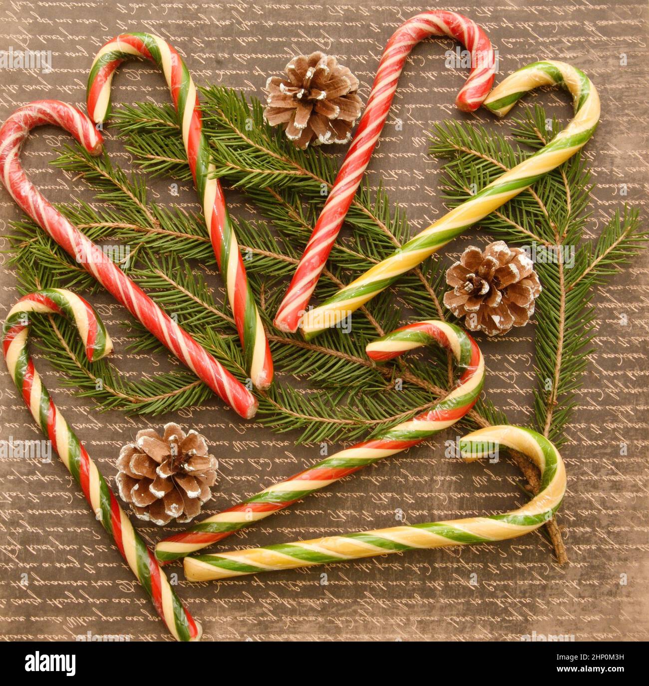 Christmas caramel or Christmas caramel canes, a branch of an ordinary ...