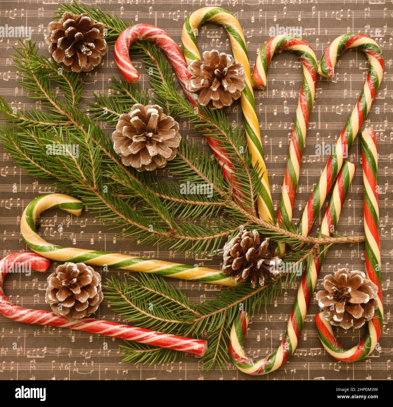 Christmas caramel or Christmas caramel canes, a branch of an ordinary ...