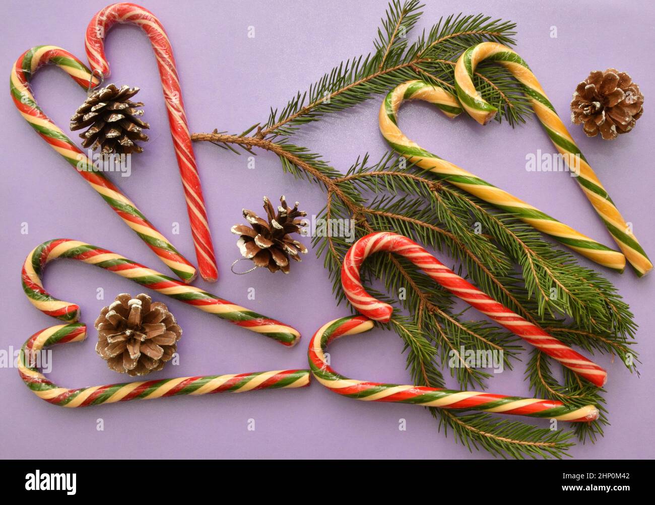 Christmas caramel or Christmas caramel canes, a branch of an ordinary ...