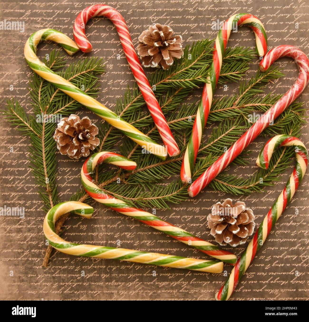 Christmas caramel or Christmas caramel canes, a branch of an ordinary ...