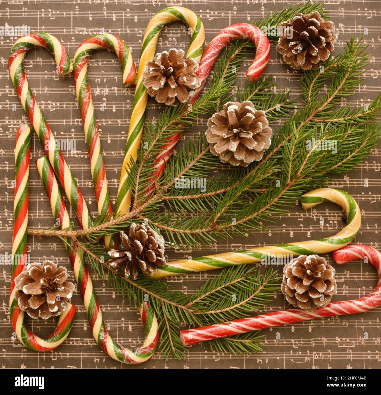 Christmas caramel or Christmas caramel canes, a branch of an ordinary ...