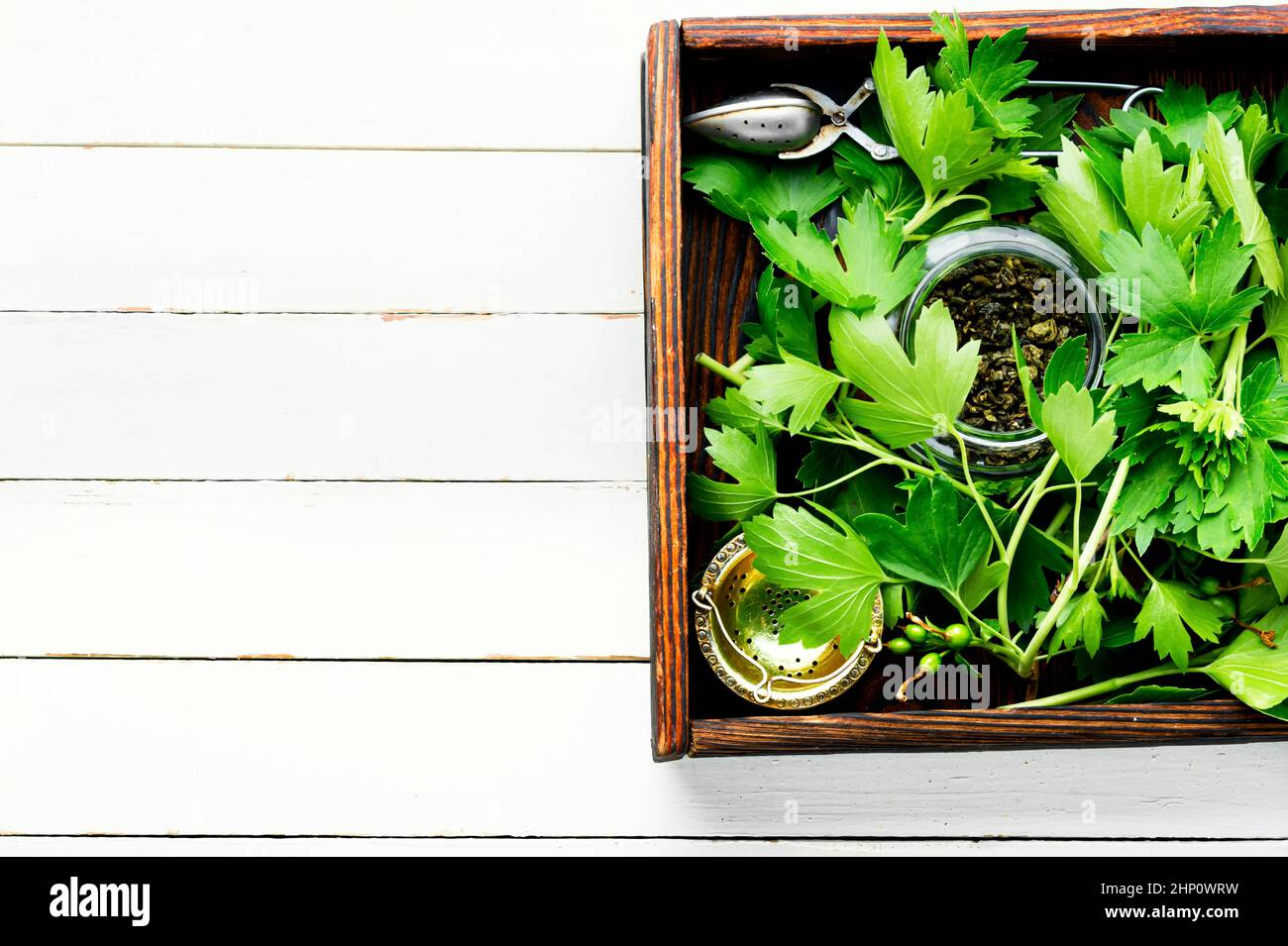 Herbal tea with fresh currant foliage.Herbal medicine.Copy space Stock