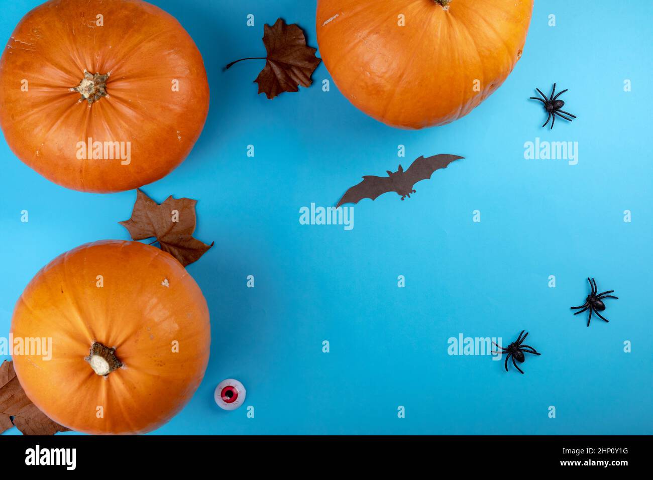 Composition of halloween decoration with pumpkins and bats with copy ...