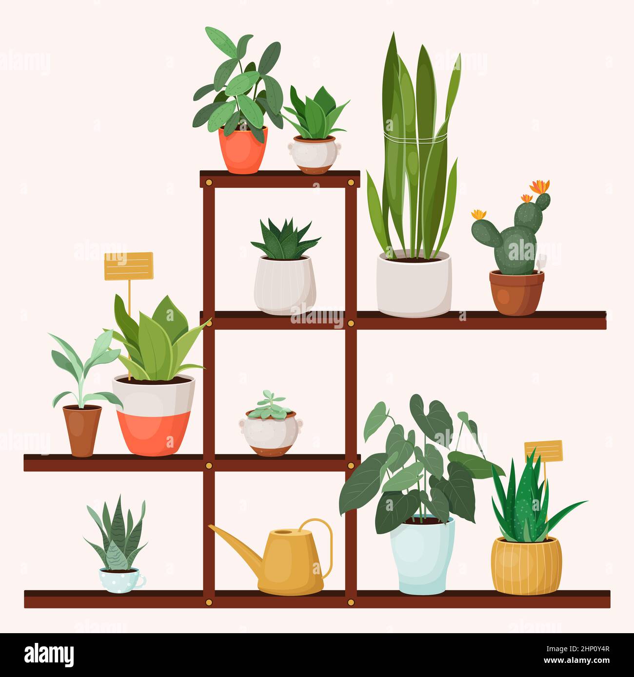 Wood plant stand with different indoor plants Stock Vector Image & Art