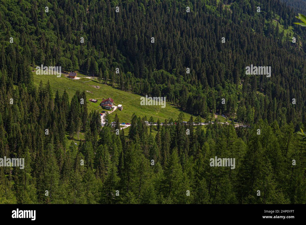 Alpine woods hi-res stock photography and images - Alamy