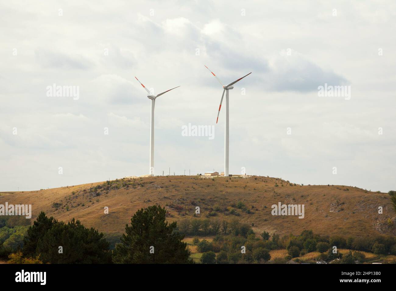 Landscape of autumn forest with vertical wind farms and with deciduous trees, which have leaves of greeen autumn shades Stock Photo