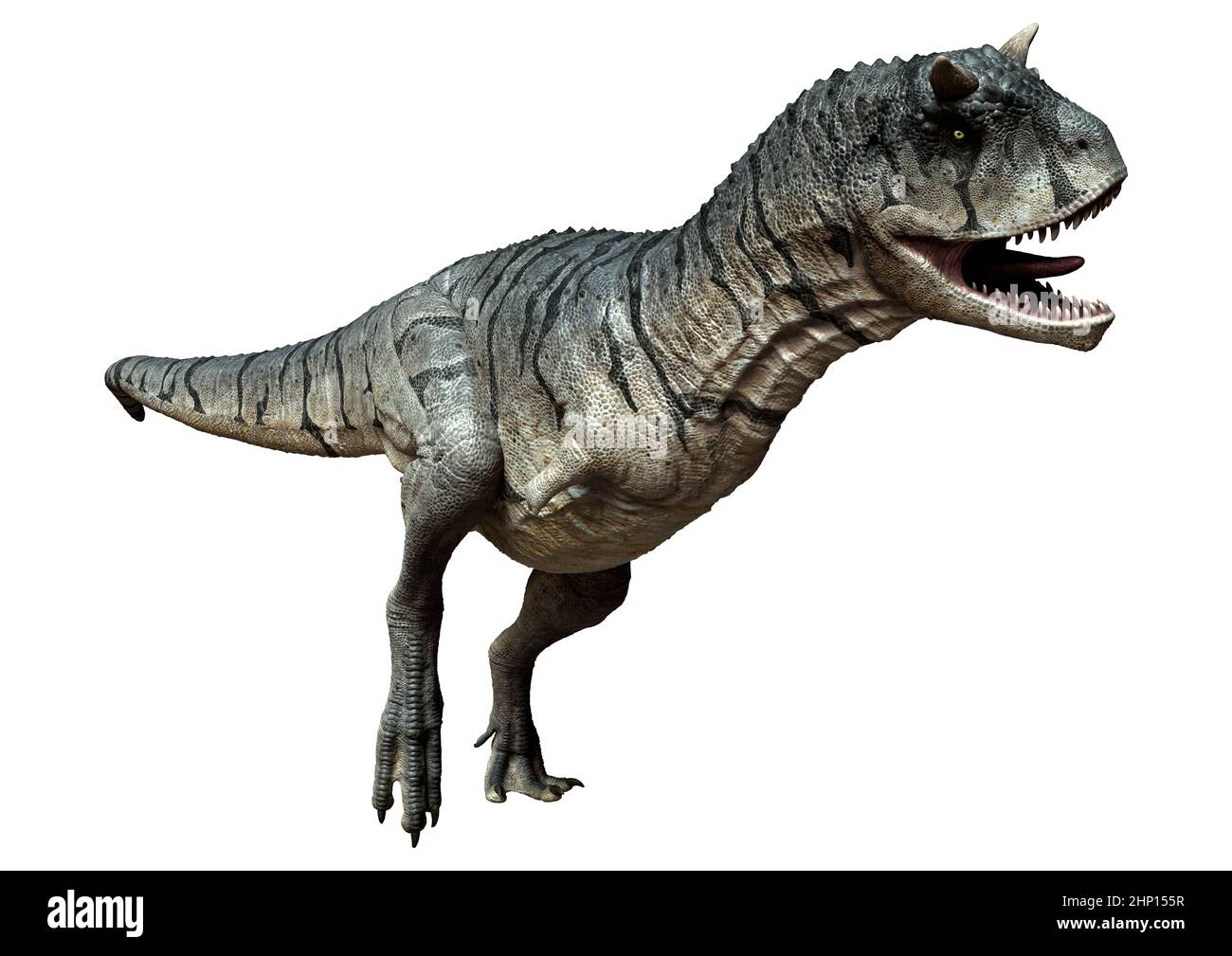 Dinosaur eating flesh hires stock photography and images Alamy