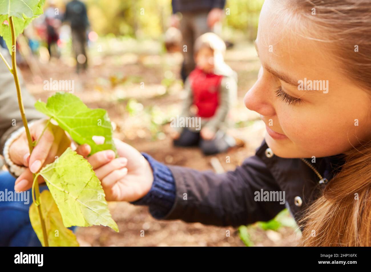 Girl volunteers to plant trees when reforesting in the forest for climate protection Stock Photo