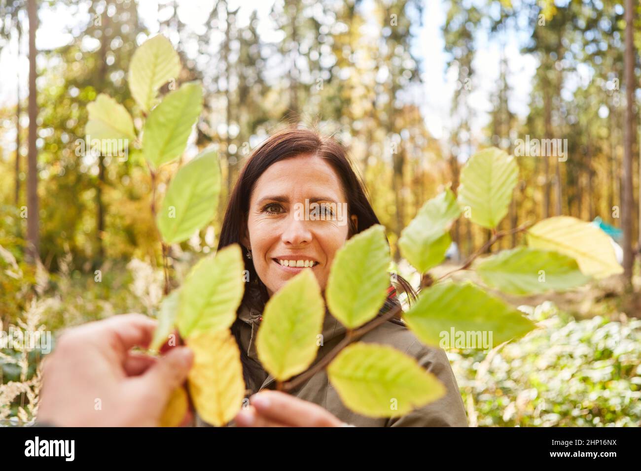 Woman holding leaves while choosing climate change tree for climate protection and sustainability Stock Photo