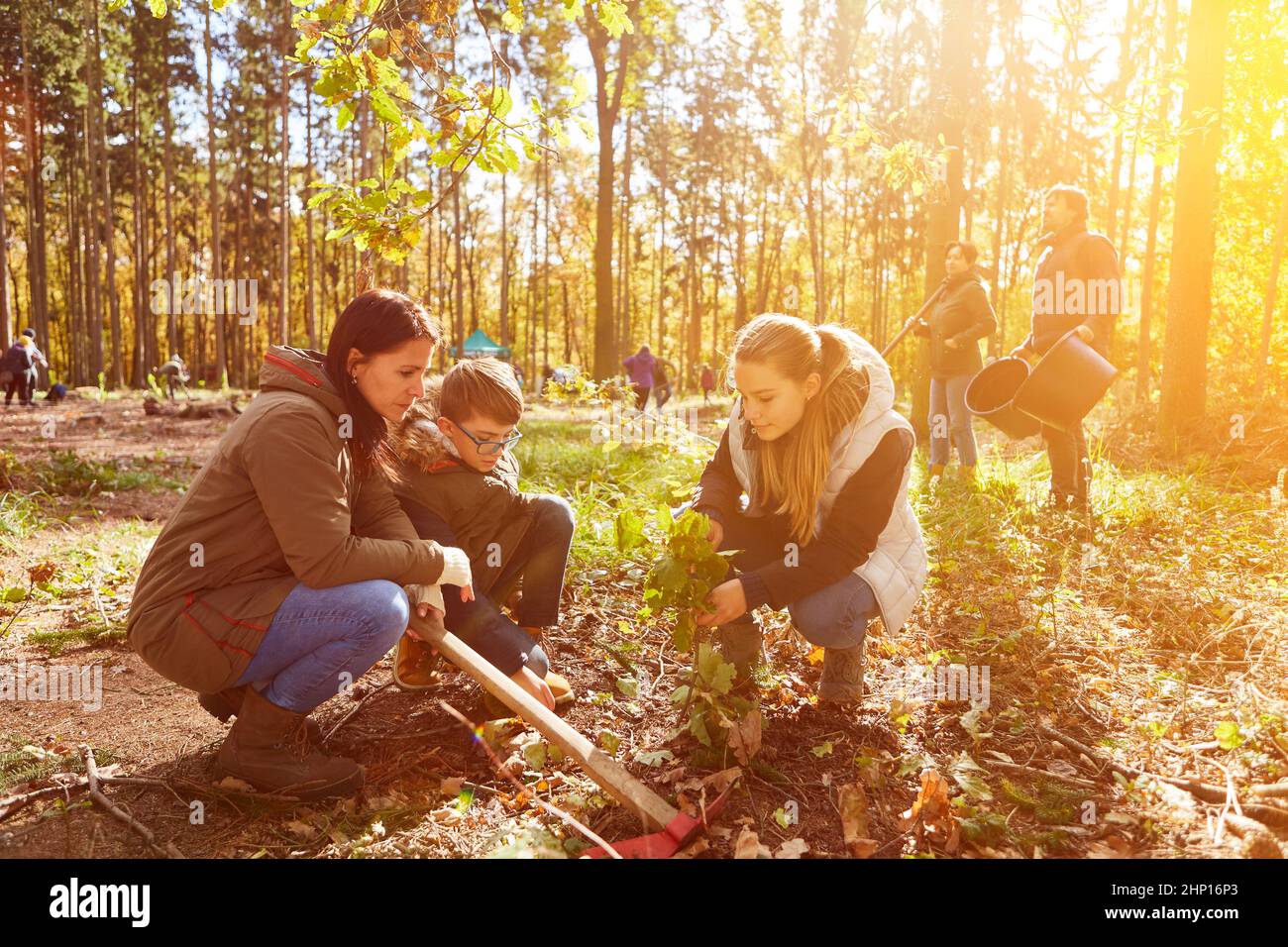 Two children with mother planting a tree in the forest at a sustainability campaign in summer Stock Photo