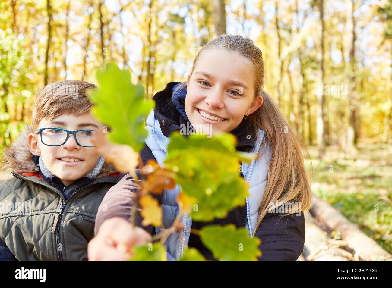 Happy forest day-care center children with a leaf from the oak learn tree science in forest education Stock Photo