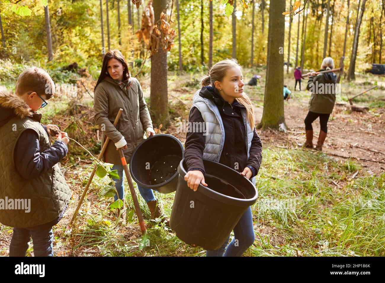 Family and volunteers planting trees in the forest for sustainable reforestation Stock Photo