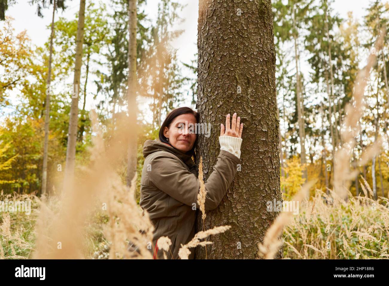Woman forest bathing in nature hugs a tree in the forest for relaxation ...