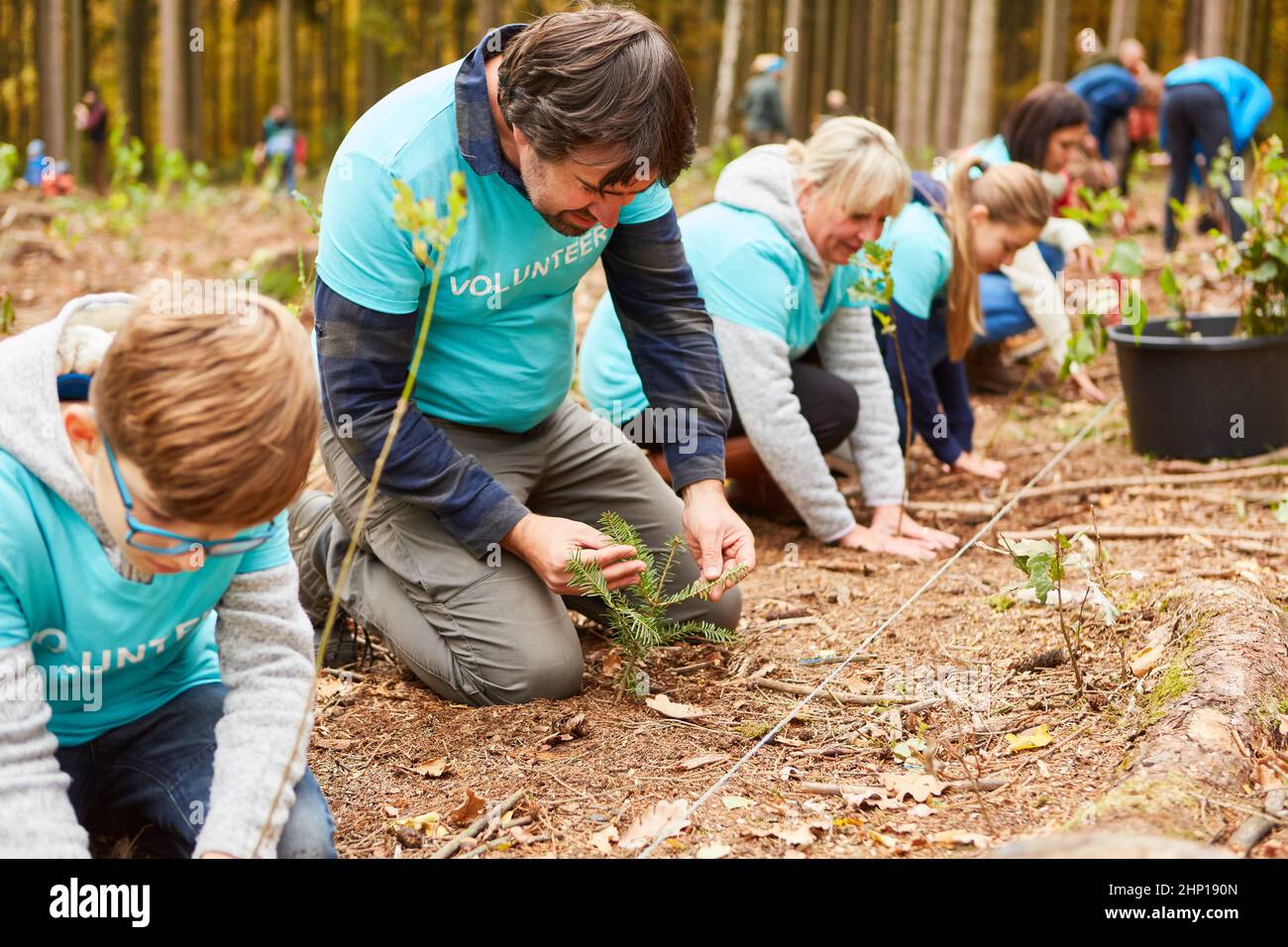 Family and children planting trees in the forest during a voluntary