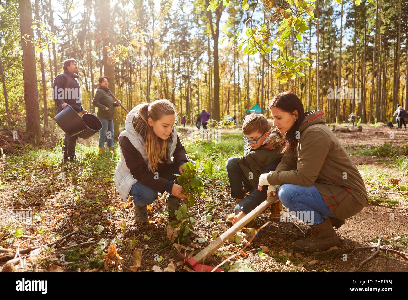 Mother and children plant a tree together in the forest for ecological reforestation Stock Photo