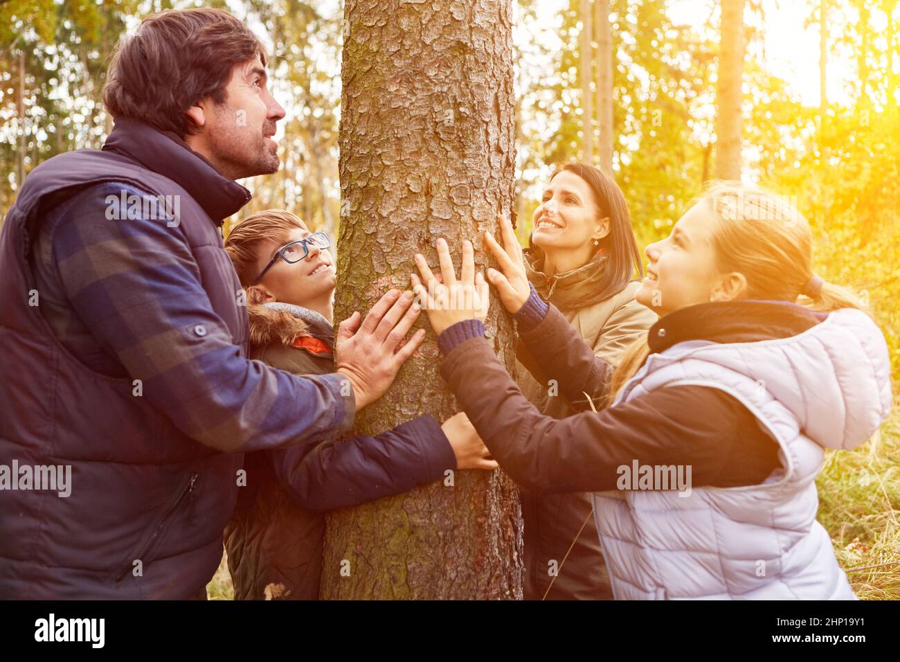 Family touching tree with hands as nature religion and esoteric concept Stock Photo