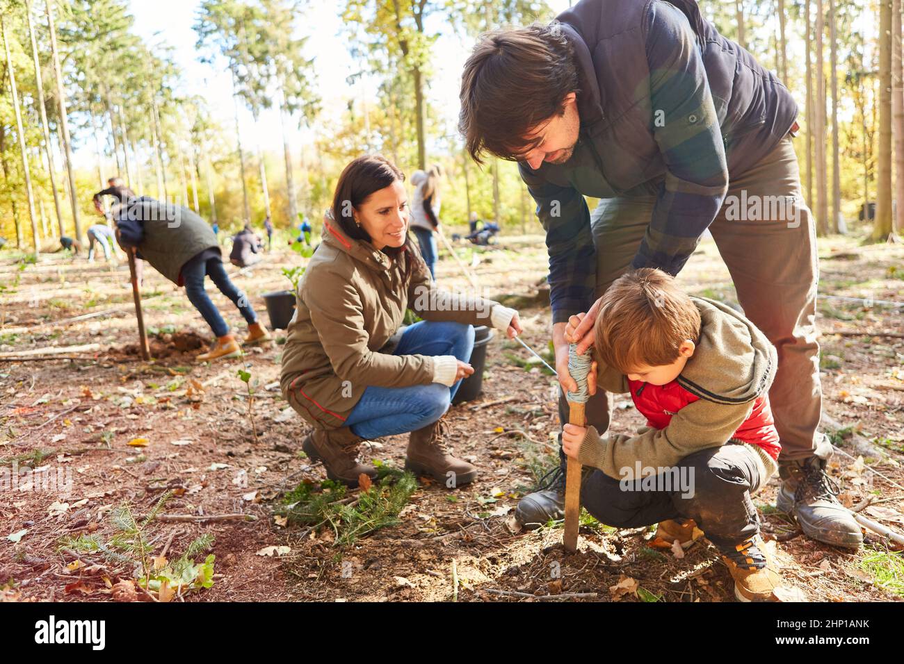 Child helps tighten cord on a stake in preparation for reforestation in the forest Stock Photo