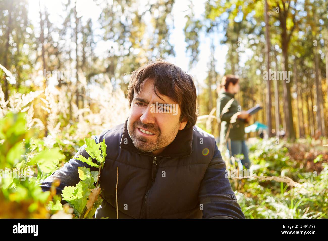 Environmentalists or foresters in the reforestation in the forest for sustainability and climate protection Stock Photo