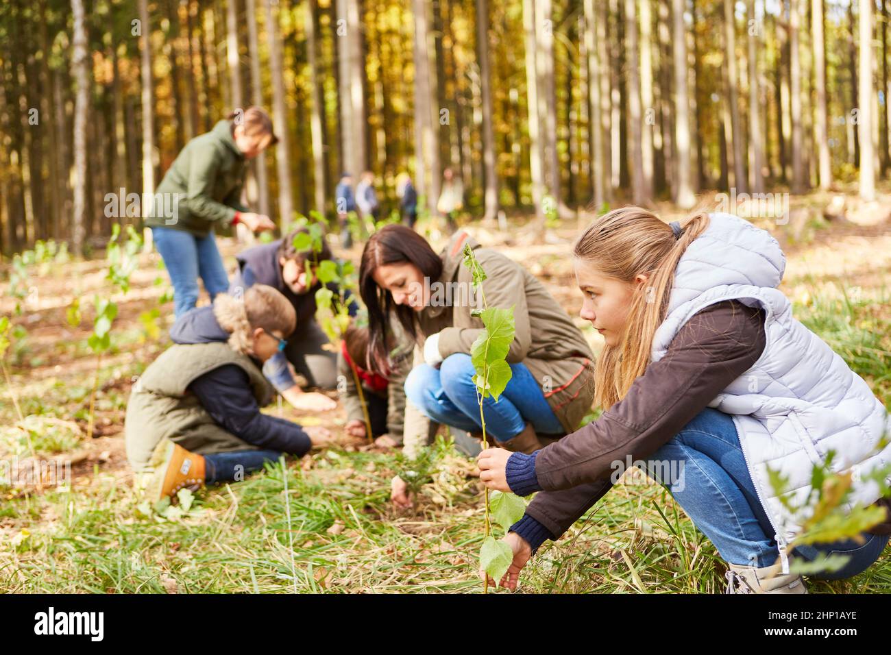 Family and volunteers plant trees in the forest as an ecological
