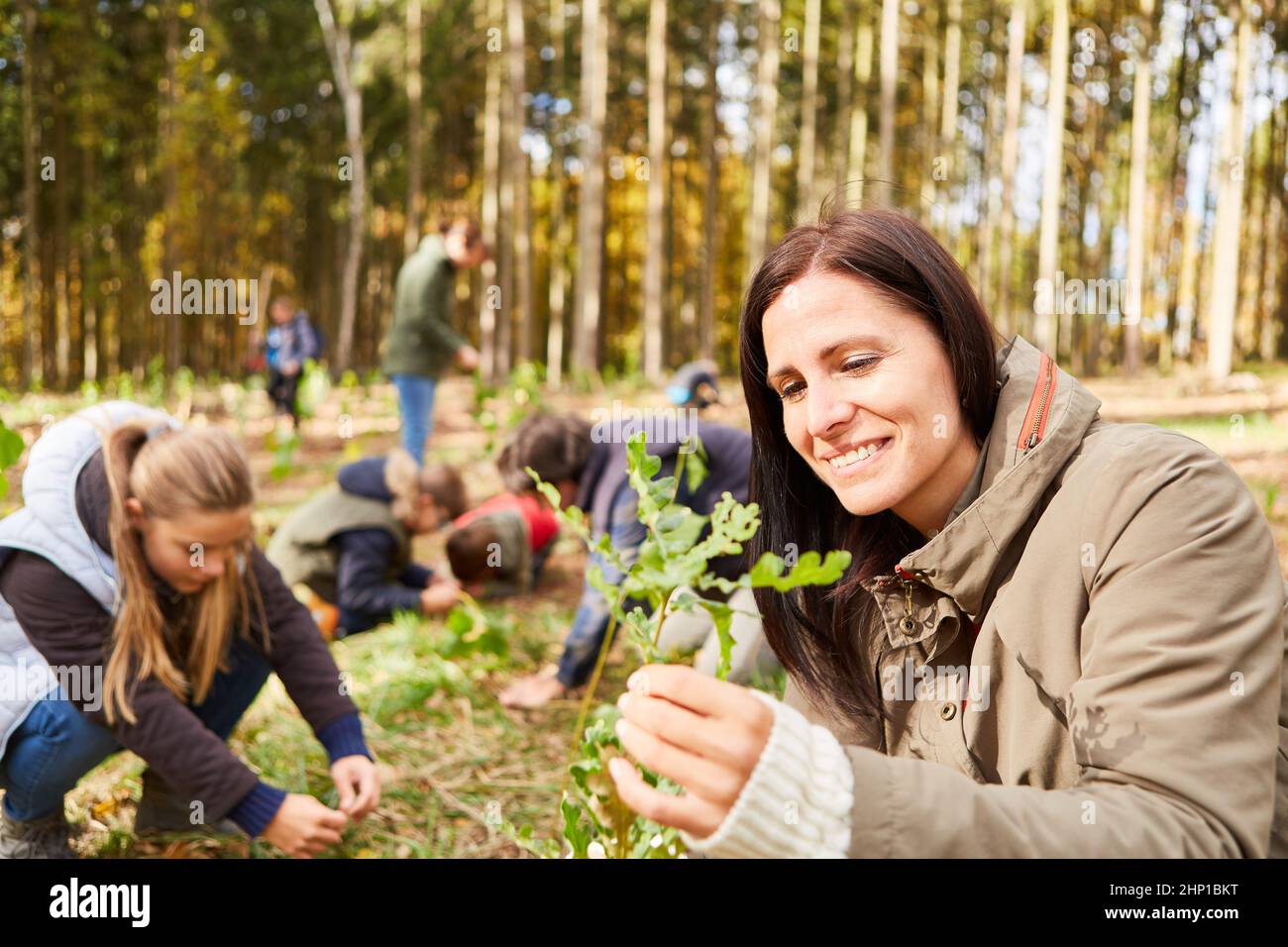 Woman as an environmental protection activist planting a tree seedling for sustainable reforestation Stock Photo