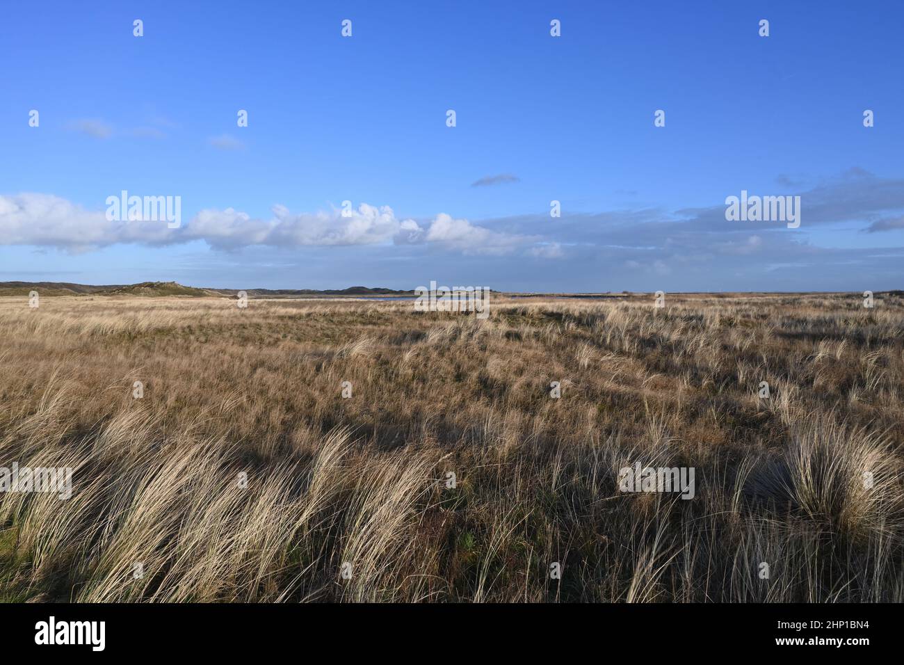 View across grassland on Langeoog with blue sky Stock Photo