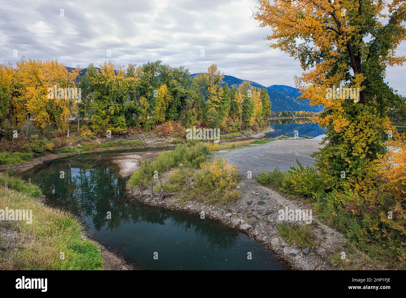 Pretty fall colors along the Kootenai River near Bonners Ferry, Idaho