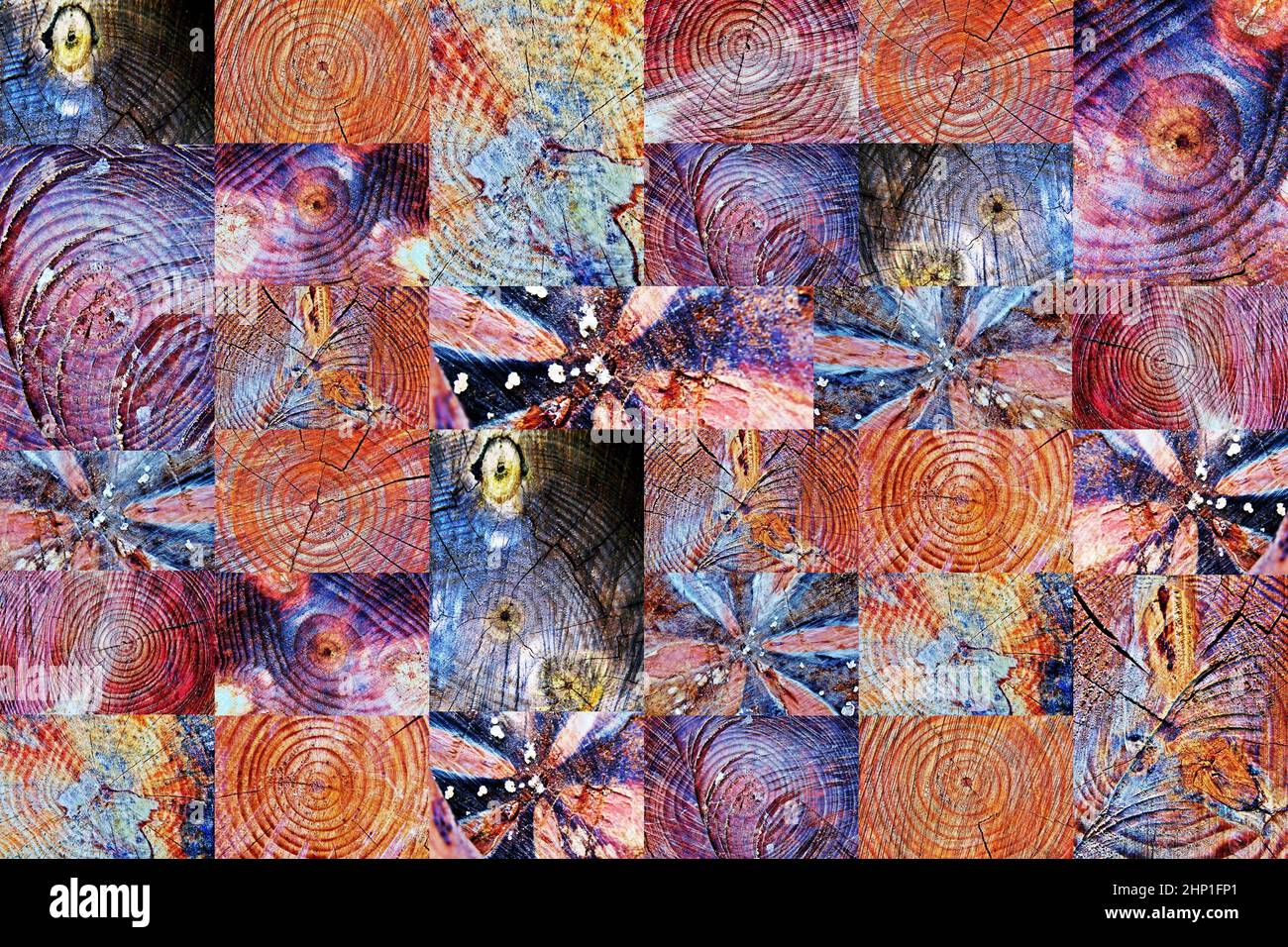 Cut tree stump collage Stock Photo - Alamy