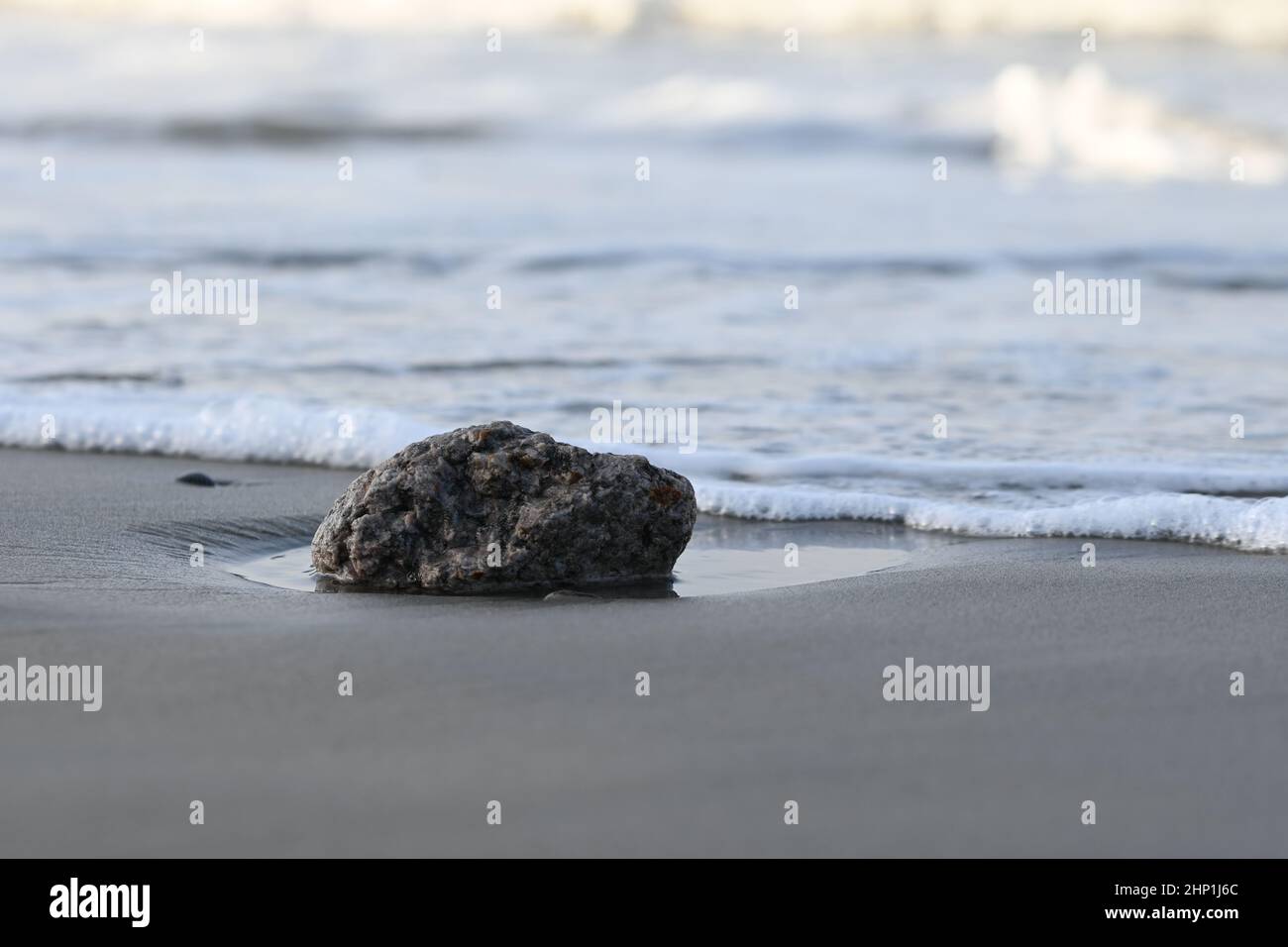 Stone on the beach washed by sea water Stock Photo
