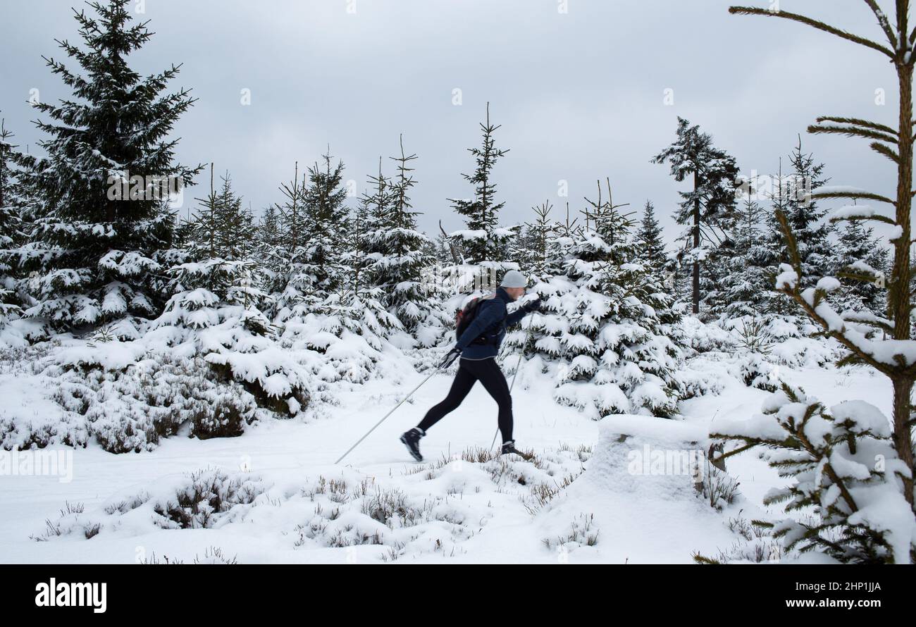 Young man cross-country skiing through snowy alpine landscape (motion blurred image) Stock Photo