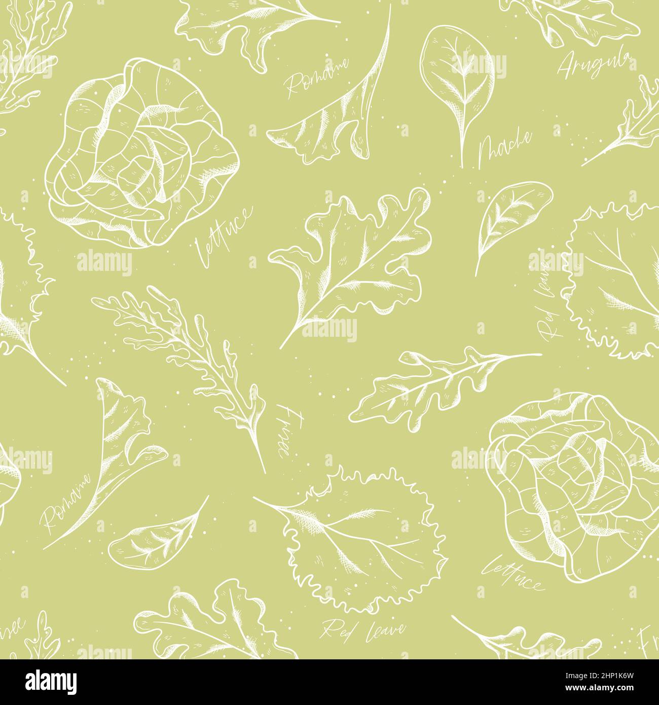 Vector Line Art salad Seamless Pattern Background Ornament with hand ...