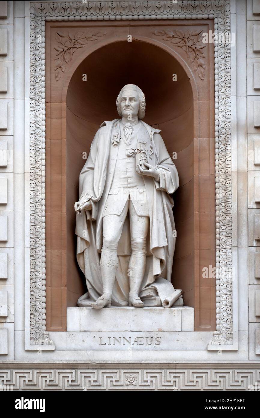 LONDON, UK - MAY 06, 2019:  Statue of Carl Linnaeus on the Burlington Gardens facade of the Royal Academy Stock Photo