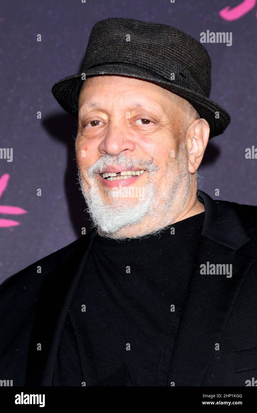 LOS ANGELES - FEB 17: Walter Mosley at the Snowfall Season 5 Premiere