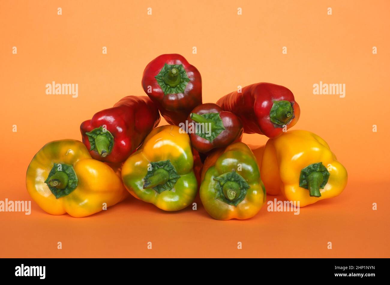 red and yellow peppers (scientific name Capsicum aka bell peppers