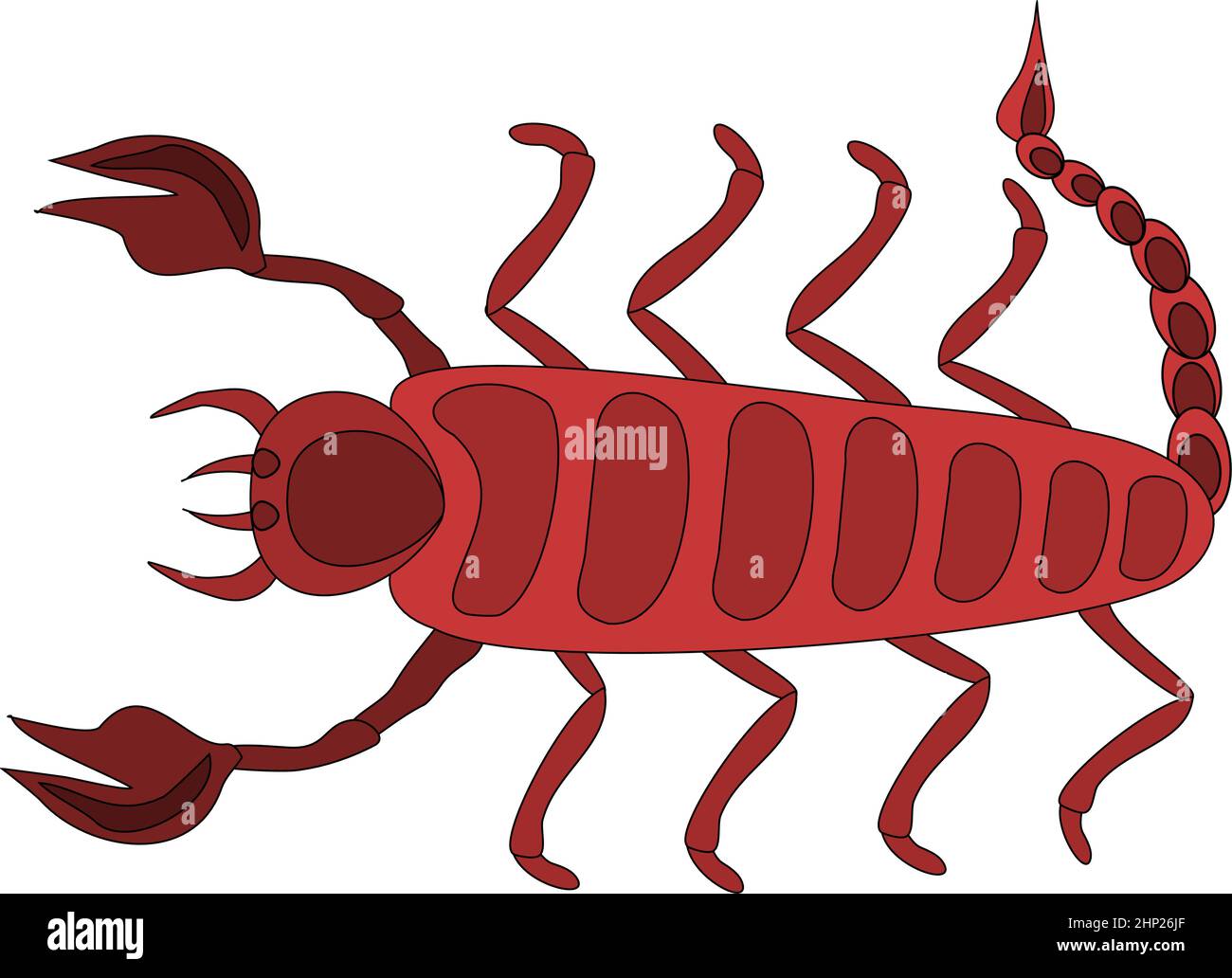 Scorpion Stock Vector