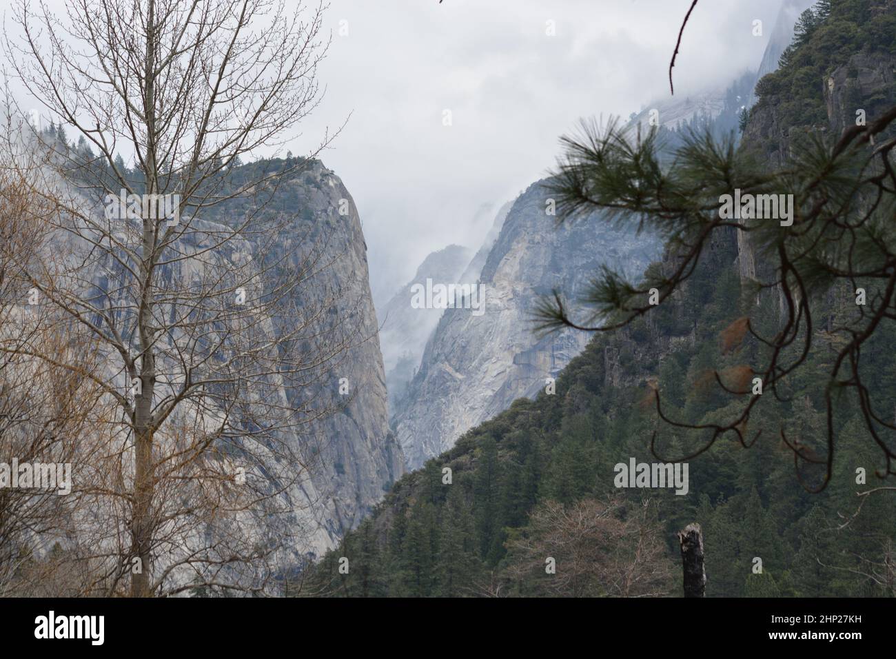 National Park of Yosemite. Ending of the winter 2015. Stock Photo