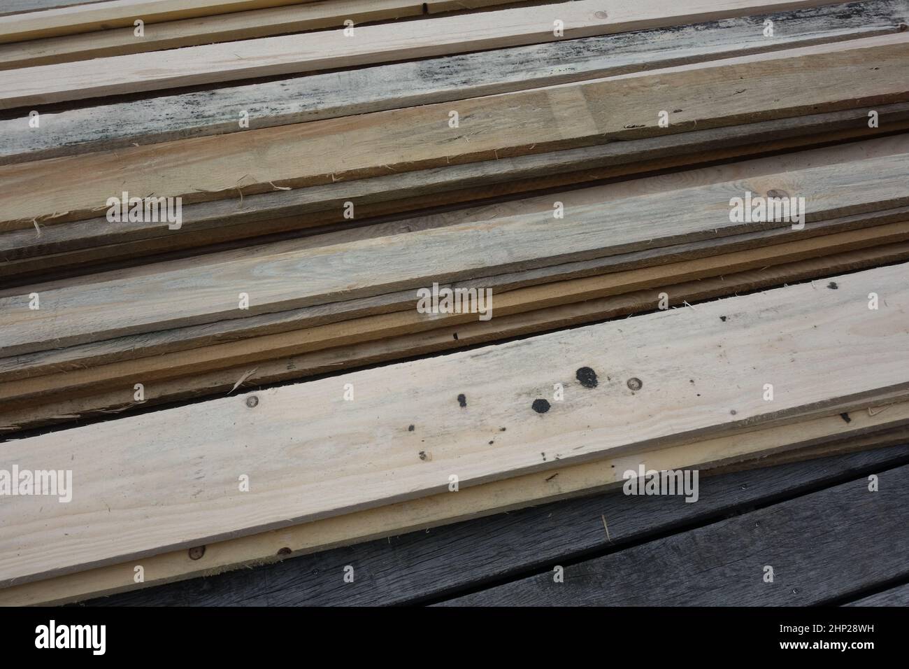 wood and timber as a resource used in the industrial production Stock Photo