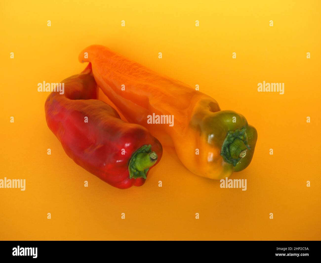 red and yellow peppers (scientific name Capsicum aka bell peppers) vegetables vegetarian food