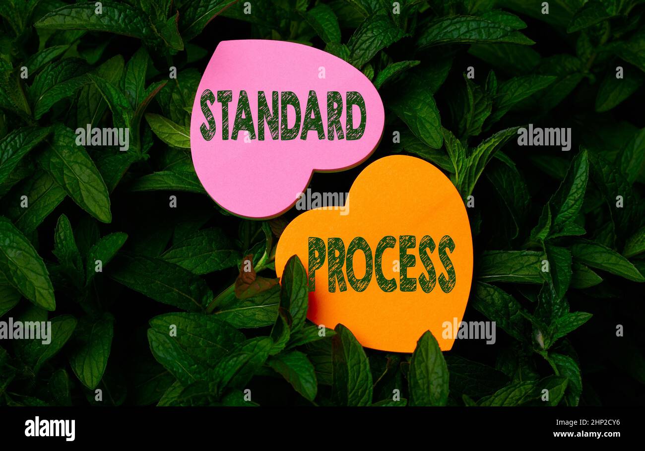 Text caption presenting Standard Process, Business approach rules made