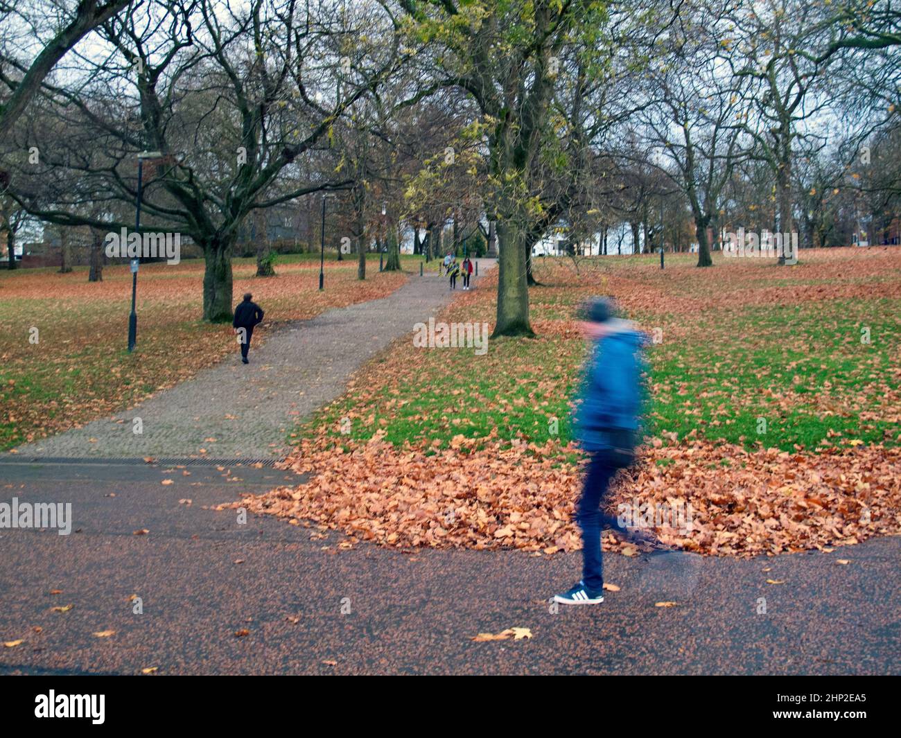 Man in blue jacket, jogging through wooded park. With trees and brown leaves fallen on the ground, with people walking. Stock Photo