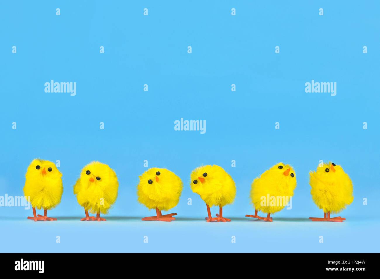 Small decorative easter chickens in a row on blue bakcground Stock Photo